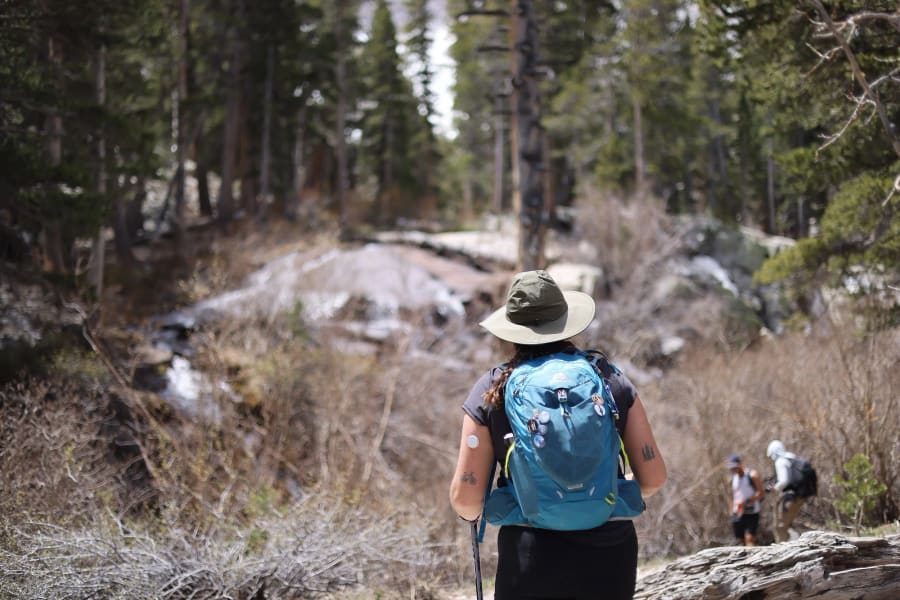 A hiker in a wide-brim sun hat and turquoise daypack walks toward a mountain stream through a sunlit pine forest.