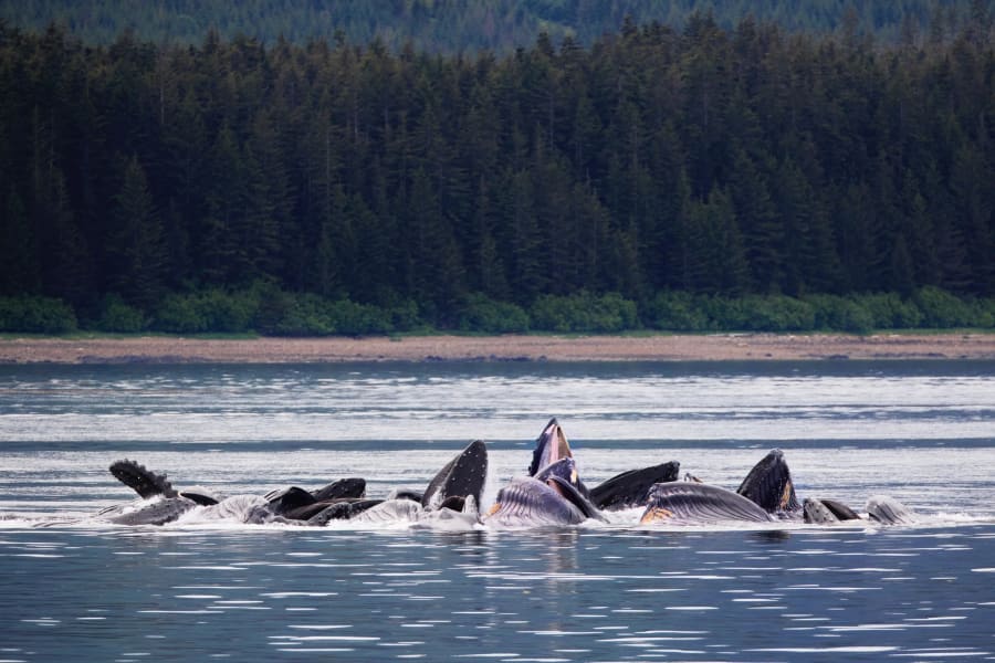 Alaska — photograph by Craig Stubing
