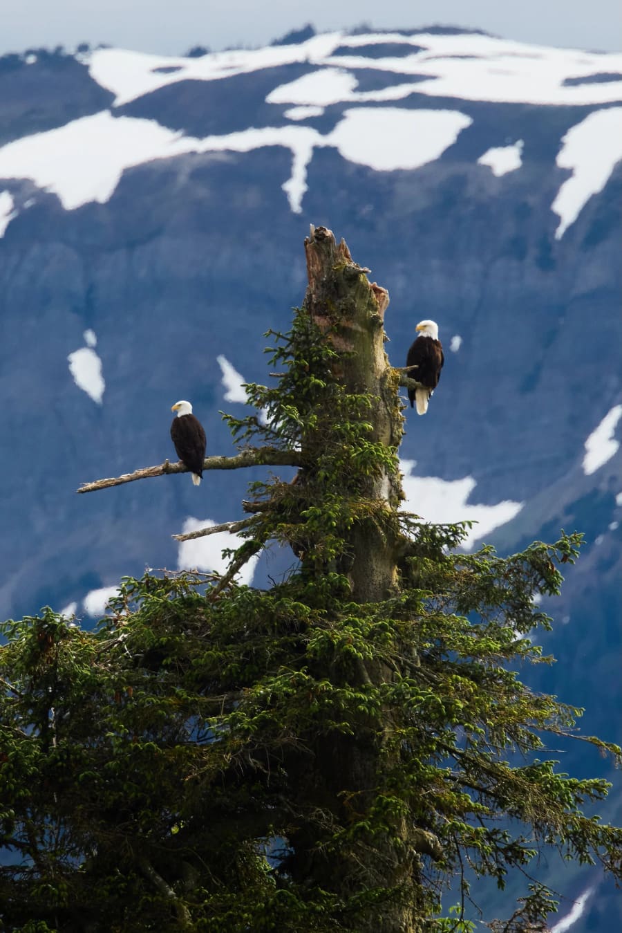Alaska — photograph by Craig Stubing