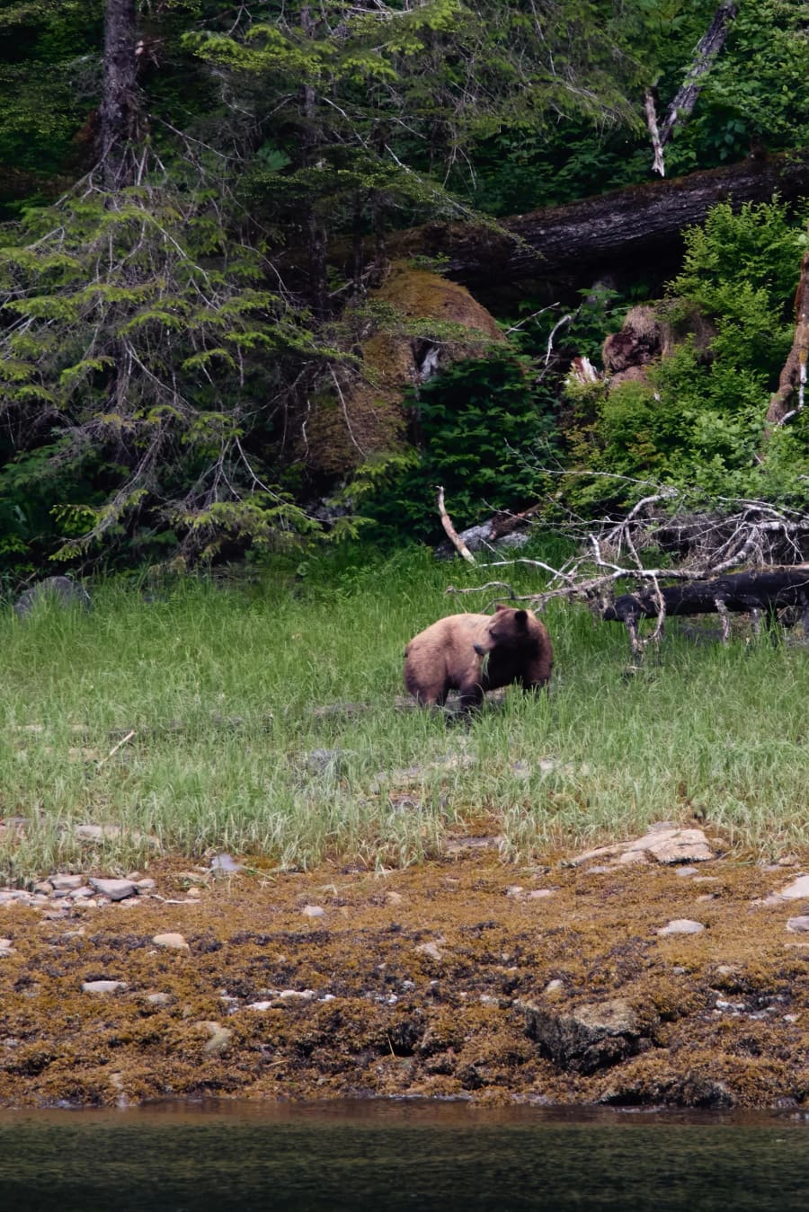 Alaska — photograph by Craig Stubing
