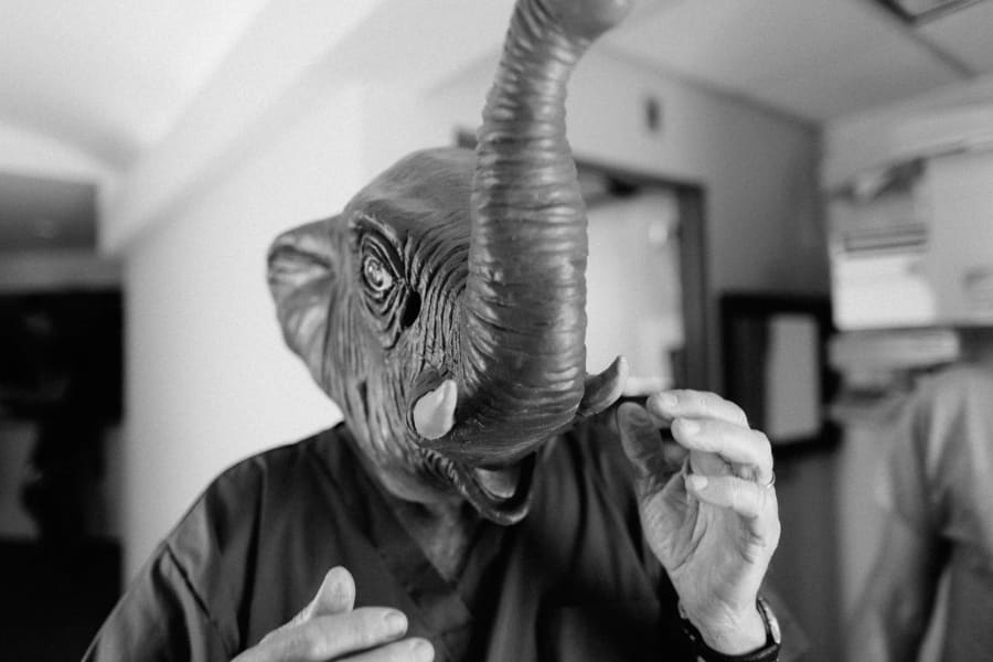Elliphant — photograph by Craig Stubing