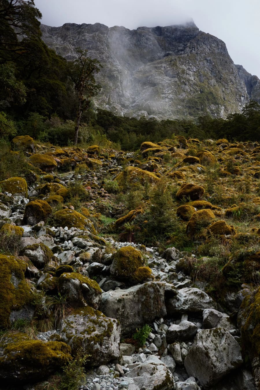 New Zealand — photograph by Craig Stubing