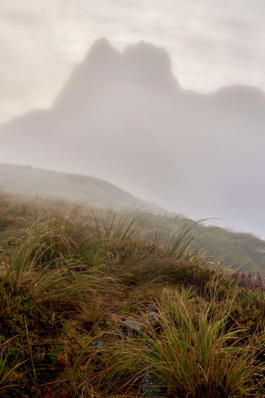 New Zealand — photograph by Craig Stubing
