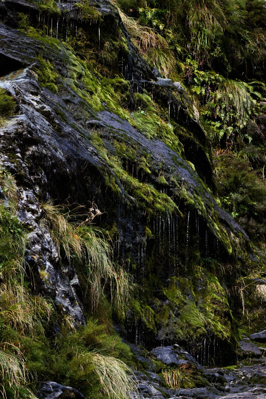 New Zealand — photograph by Craig Stubing