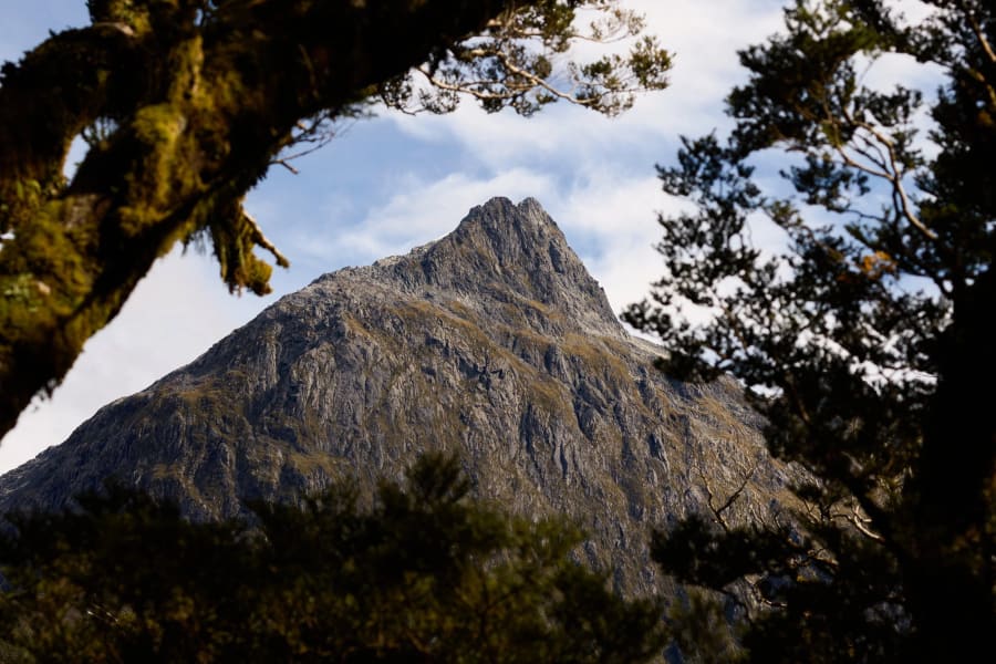 New Zealand — photograph by Craig Stubing