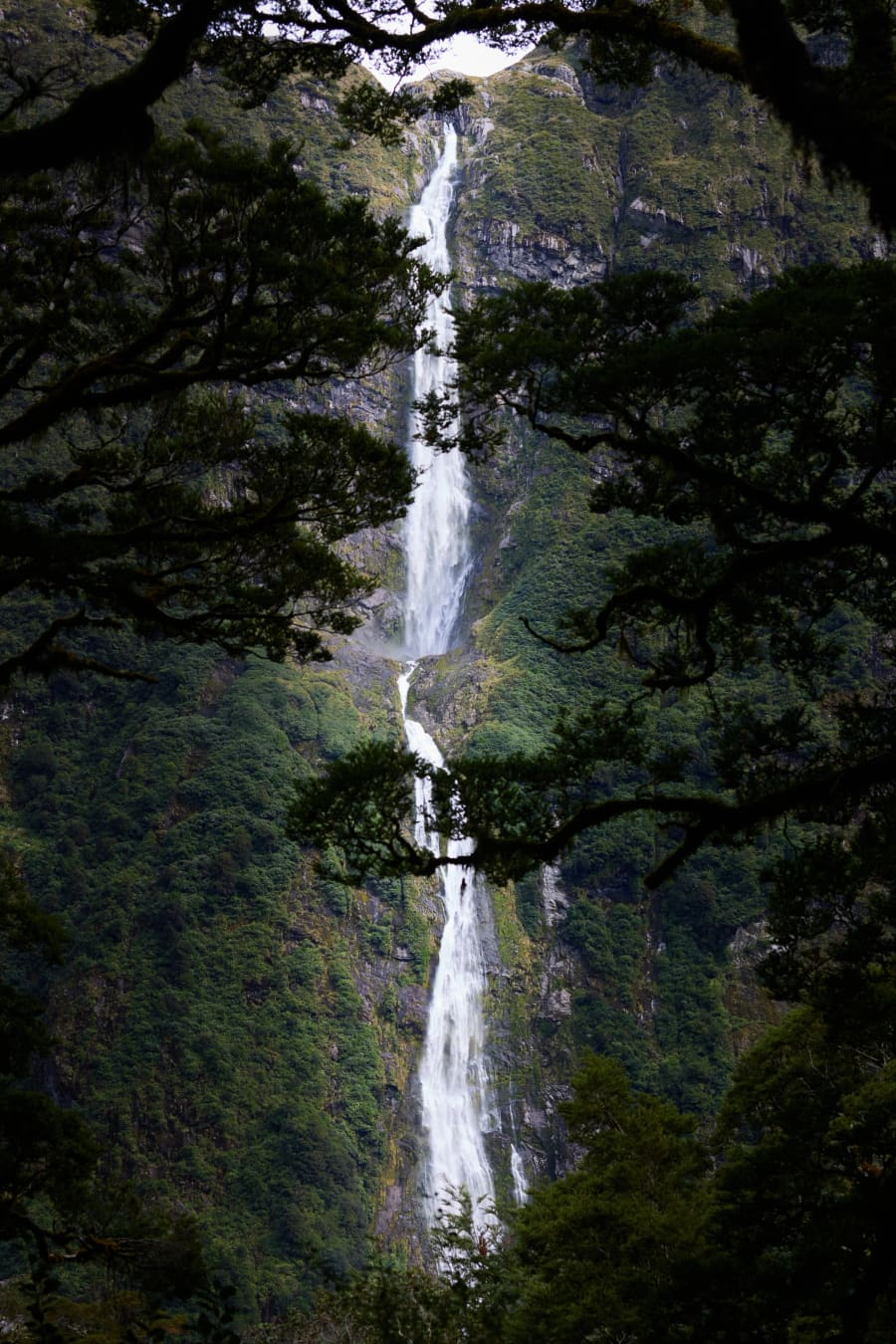 New Zealand — photograph by Craig Stubing