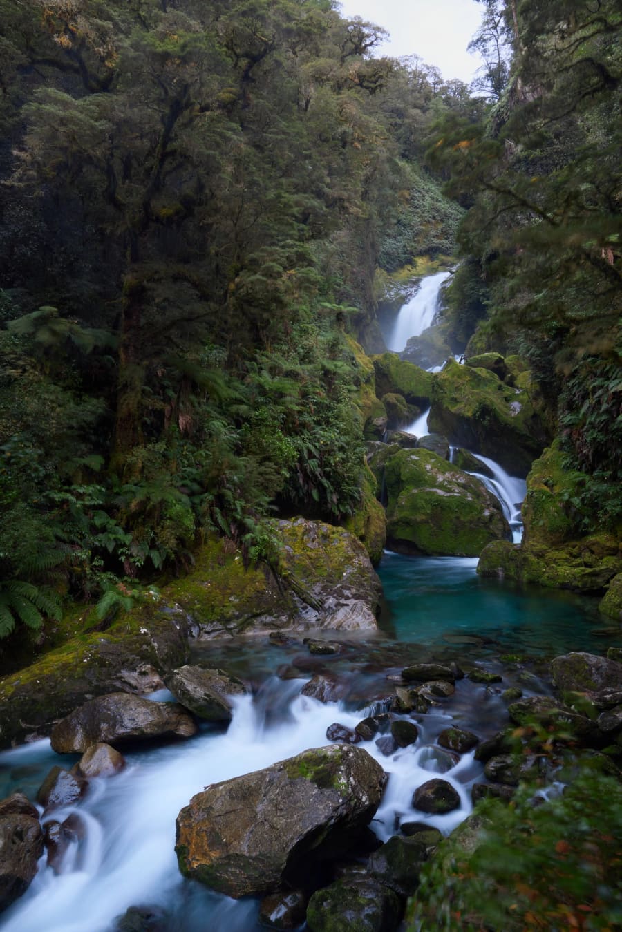 New Zealand — photograph by Craig Stubing