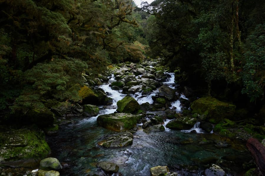 New Zealand — photograph by Craig Stubing