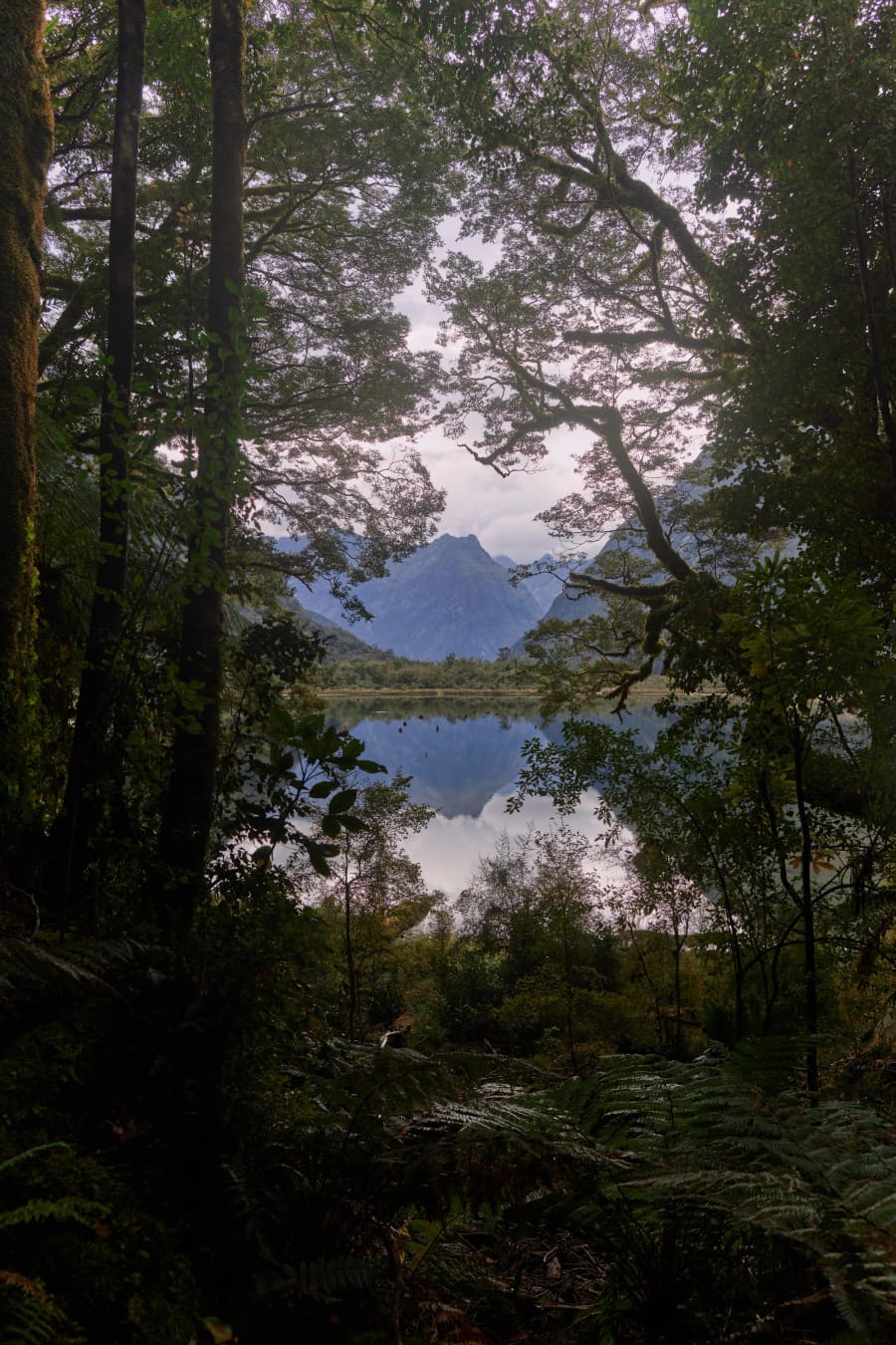 New Zealand — photograph by Craig Stubing
