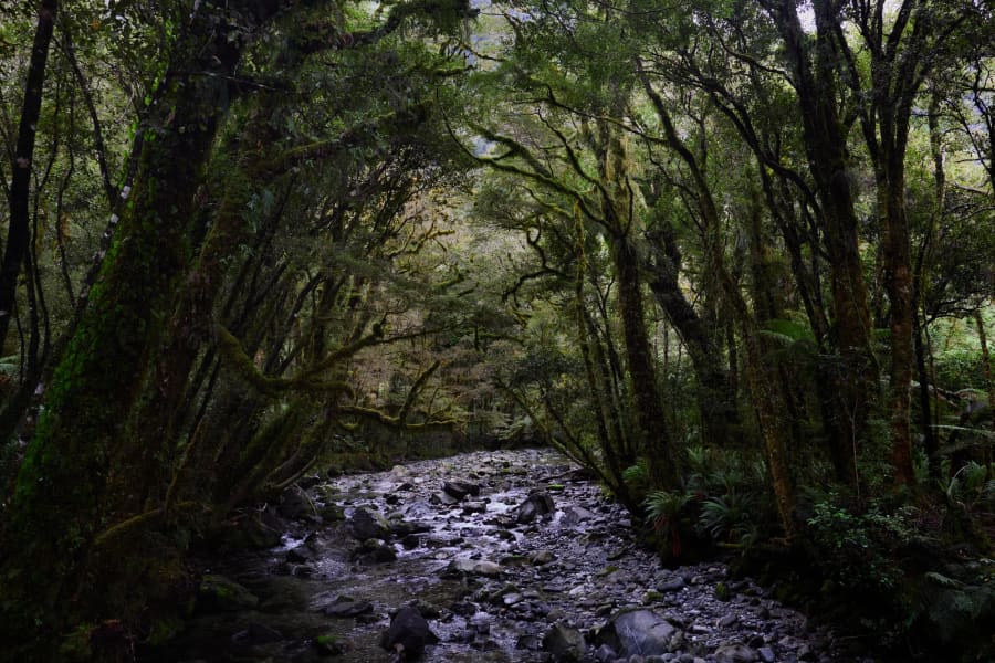 New Zealand — photograph by Craig Stubing