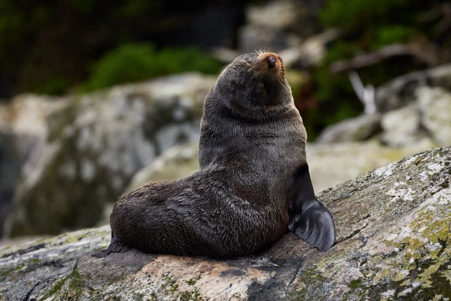 New Zealand — photograph by Craig Stubing