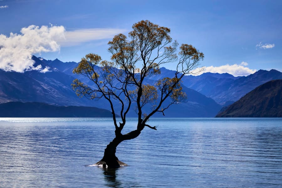 New Zealand — photograph by Craig Stubing