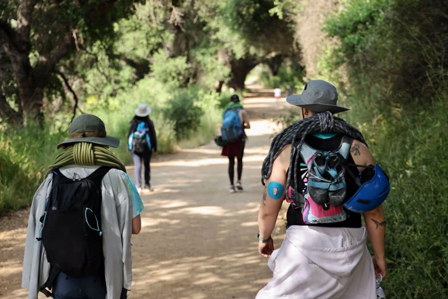 T1Ds in the Wild — photograph by Craig Stubing