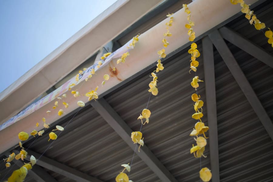 Umbrella Movement — photograph by Craig Stubing