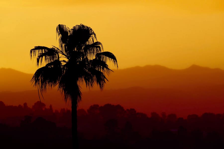 Photograph by Craig Stubing