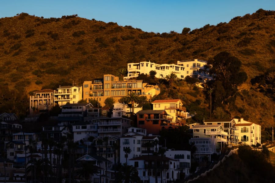 Photograph by Craig Stubing